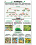 Plant Kingdom Chart - Laminated, With Rollers