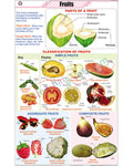 Fruits &amp; Their classification Chart - Laminated, With Rollers