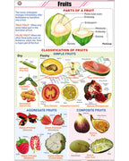 Fruits &amp; Their classification Chart - Laminated, With Rollers