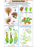 Insectivorous Plants Chart - Laminated, With Rollers