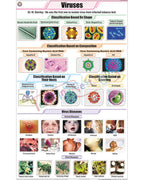 Viruses Chart - Laminated, With Rollers