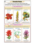 Parasitic Plants Chart - Laminated, With Rollers