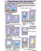 Chemical Reaction &amp; its Characteristics Chart - Laminated, With Rollers
