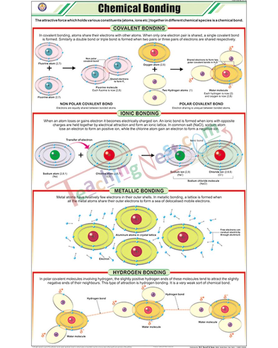 Chemical Bonding Chart - Laminated, With Rollers