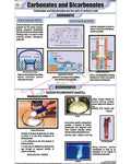 Carbonates and Bicarbonates Chart - Laminated, With Rollers