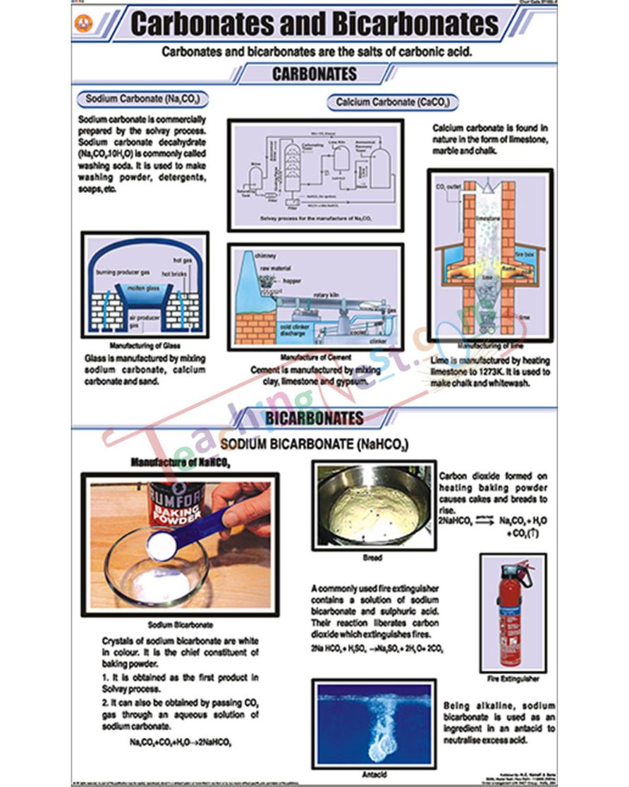 Carbonates and Bicarbonates Chart - Laminated, With Rollers