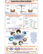 Composition of Water by Weight Chart - Laminated, With Rollers