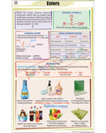 Esters Chart - Laminated, With Rollers