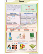 Esters Chart - Laminated, With Rollers