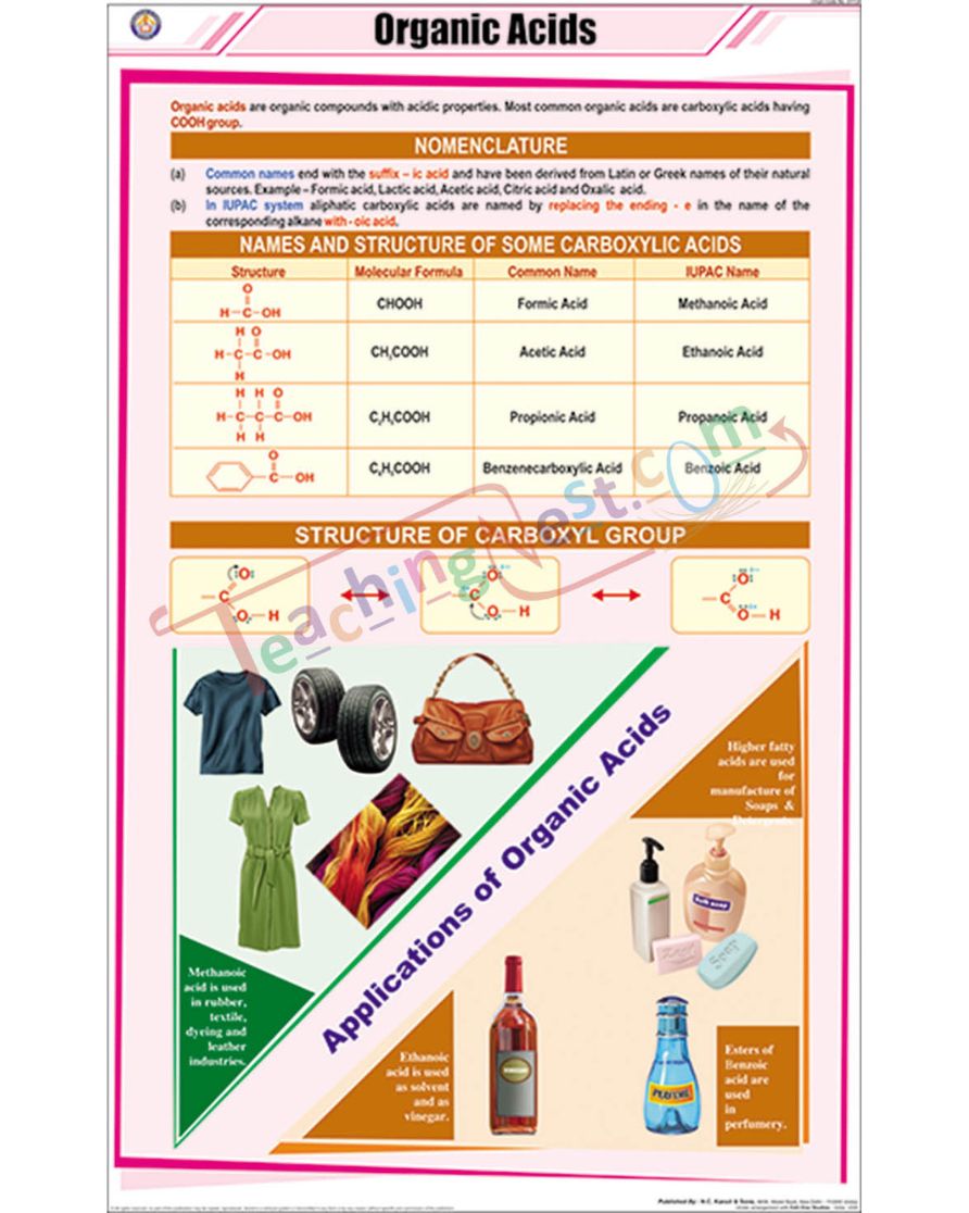 Organic Acids Chart - Laminated, With Rollers