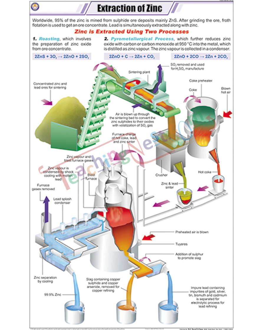 Extraction of Zinc Chart - Laminated, With Rollers