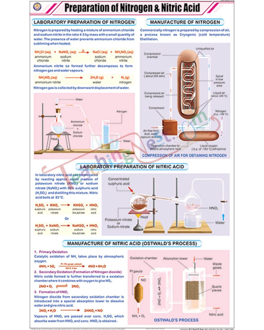 Prep. of Nitrogen and Nitric acid Chart - Laminated, With Rollers