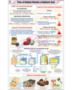 Prep. of Sulphur Dioxide &amp; Sulphuric acid Chart - Laminated, With Rollers