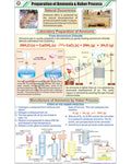 Prep. of Ammonia and Haber Process Chart - Laminated, With Rollers