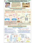 Prep. of Ammonia and Haber Process Chart - Laminated, With Rollers