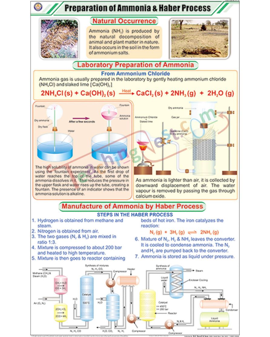 Prep. of Ammonia and Haber Process Chart - Laminated, With Rollers