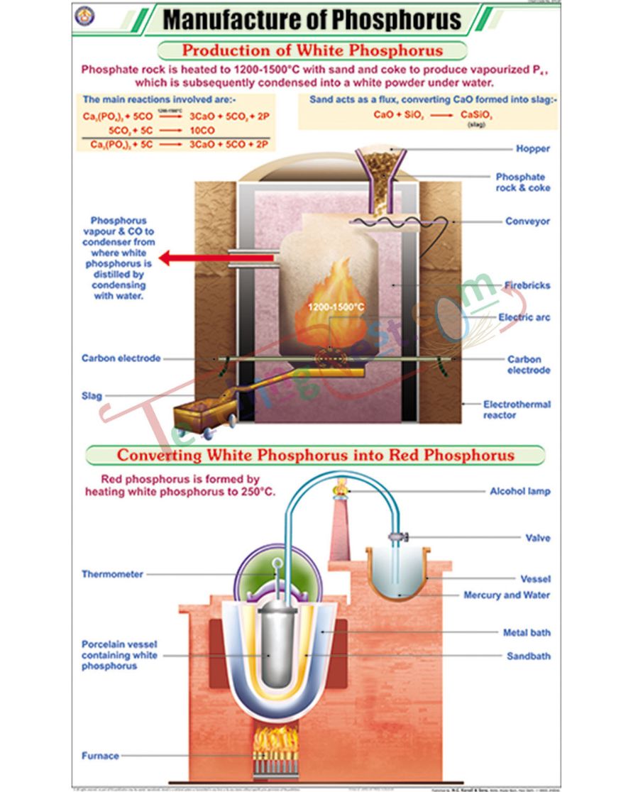 Manufacture of Phosphorus Chart - Laminated, With Rollers