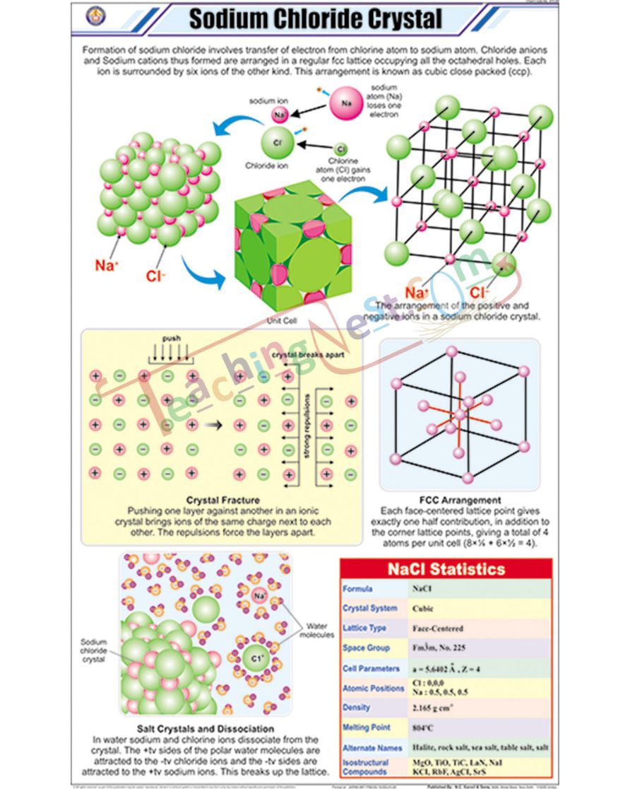 Sodium Chloride Crystal Chart - Laminated, With Rollers