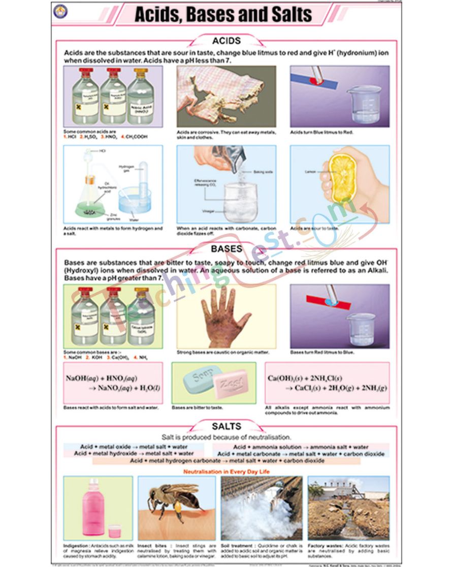 Acids, Bases and Salts Chart - Laminated, With Rollers