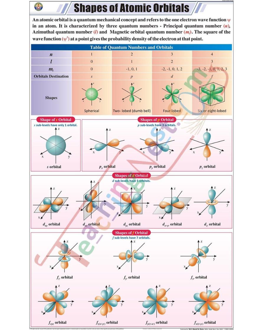 Shapes of Atomic Orbitals Chart - Laminated, With Rollers