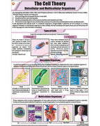The Cell Theory Chart - Laminated, With Rollers