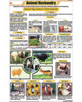 Animal Husbandry Chart - Laminated, With Rollers