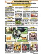 Animal Husbandry Chart - Laminated, With Rollers