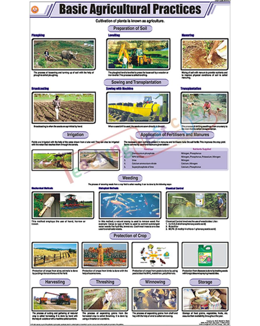 Basic Agricultural Practices Chart - Laminated, With Rollers
