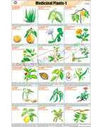 Medicinal Plants - I Chart - Laminated, With Rollers