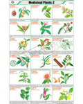 Medicinal Plants - II Chart - Laminated, With Rollers