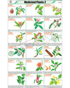 Medicinal Plants - II Chart - Laminated, With Rollers