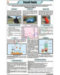 Fossil Fuels Chart - Laminated, With Rollers