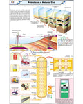 Petroleum &amp; Natural Gas Chart - Laminated, With Rollers