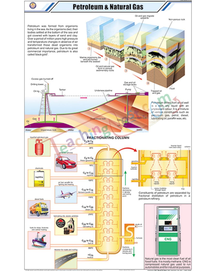 Petroleum &amp; Natural Gas Chart - Laminated, With Rollers