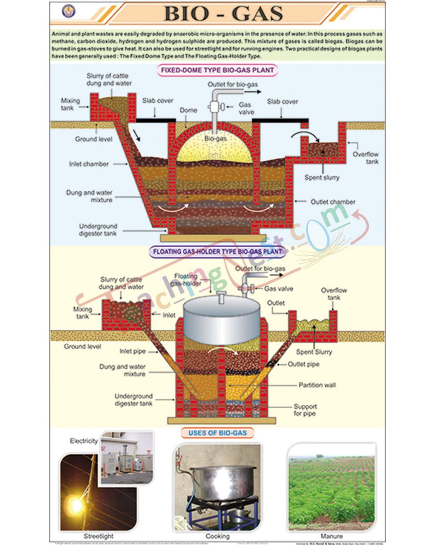 Bio-Gas Chart - Laminated, With Rollers
