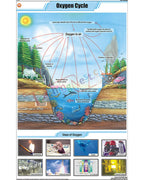 Oxygen Cycle Chart - Laminated, With Rollers
