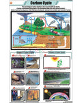 Carbon Cycle Chart - Laminated, With Rollers