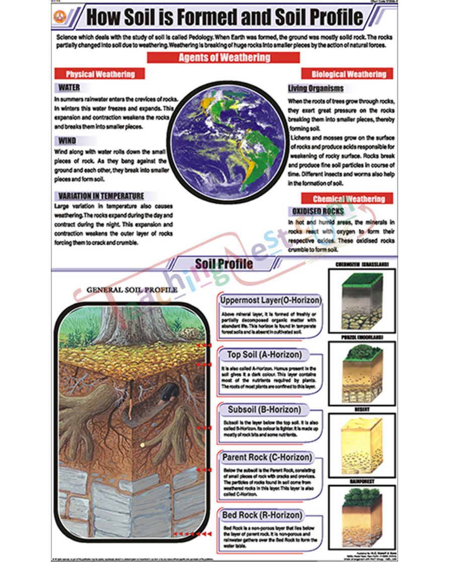 How Soil is formed and Soil Profile Chart - Laminated, With Rollers