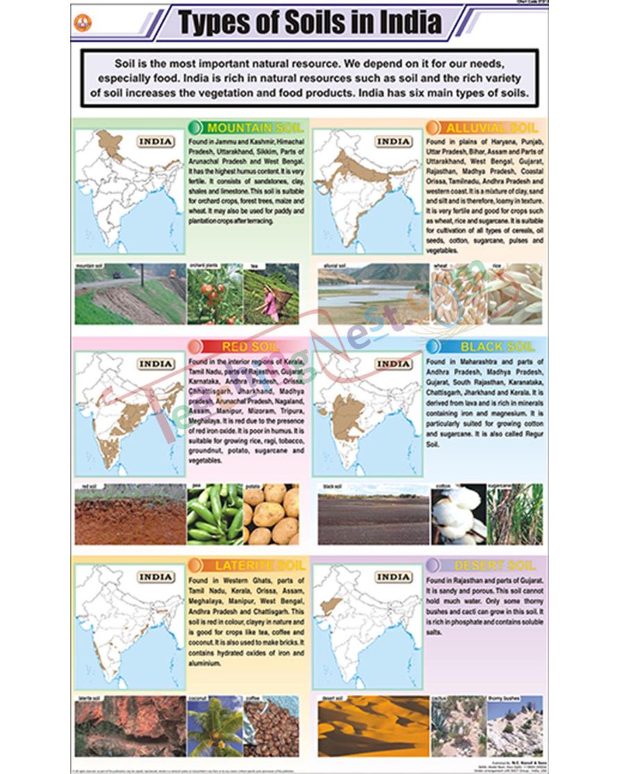 Types of Soils in India Chart - Laminated, With Rollers