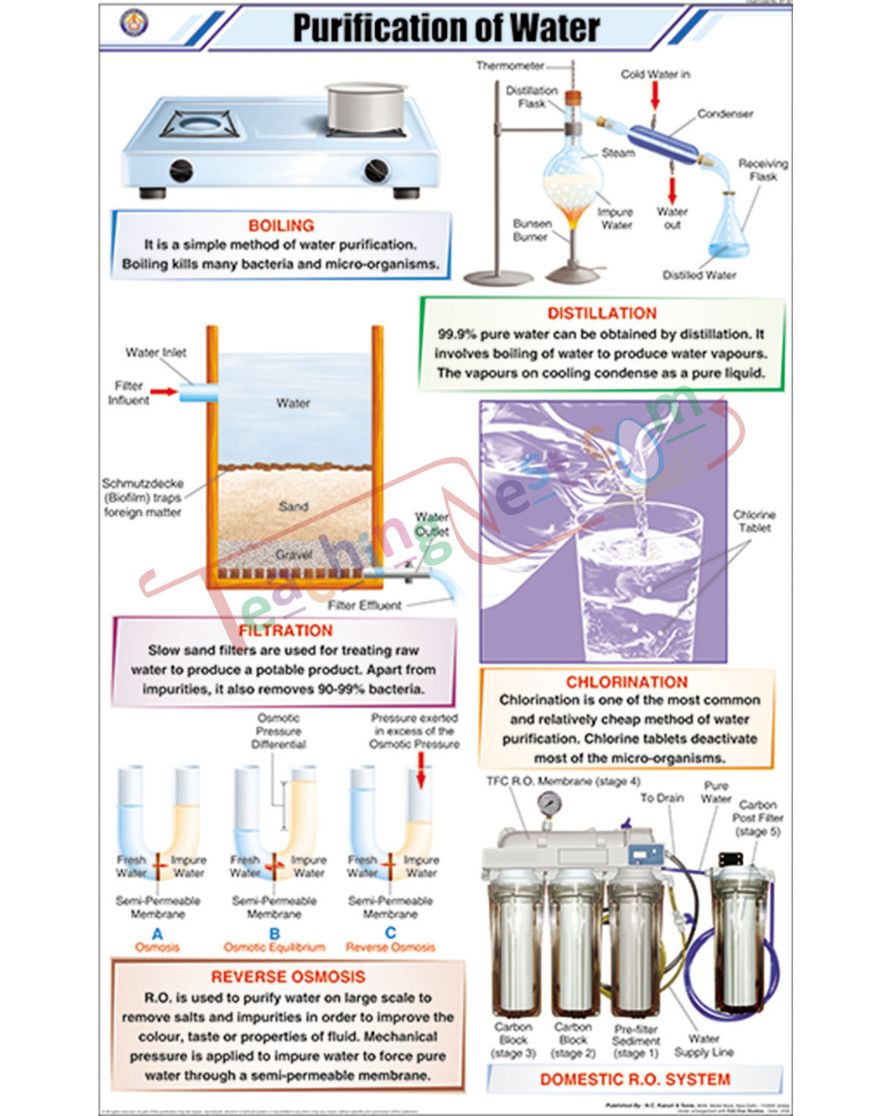 Purification of Water Chart - Laminated, With Rollers