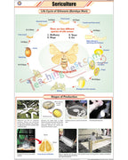 Sericulture (L.H. Silkworm) Chart - Laminated, With Rollers