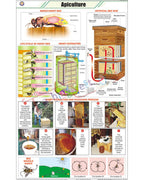 Apiculture (L.H. Honeybee) Chart - Laminated, With Rollers
