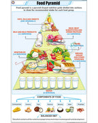 Food Pyramid Chart - Laminated, With Rollers