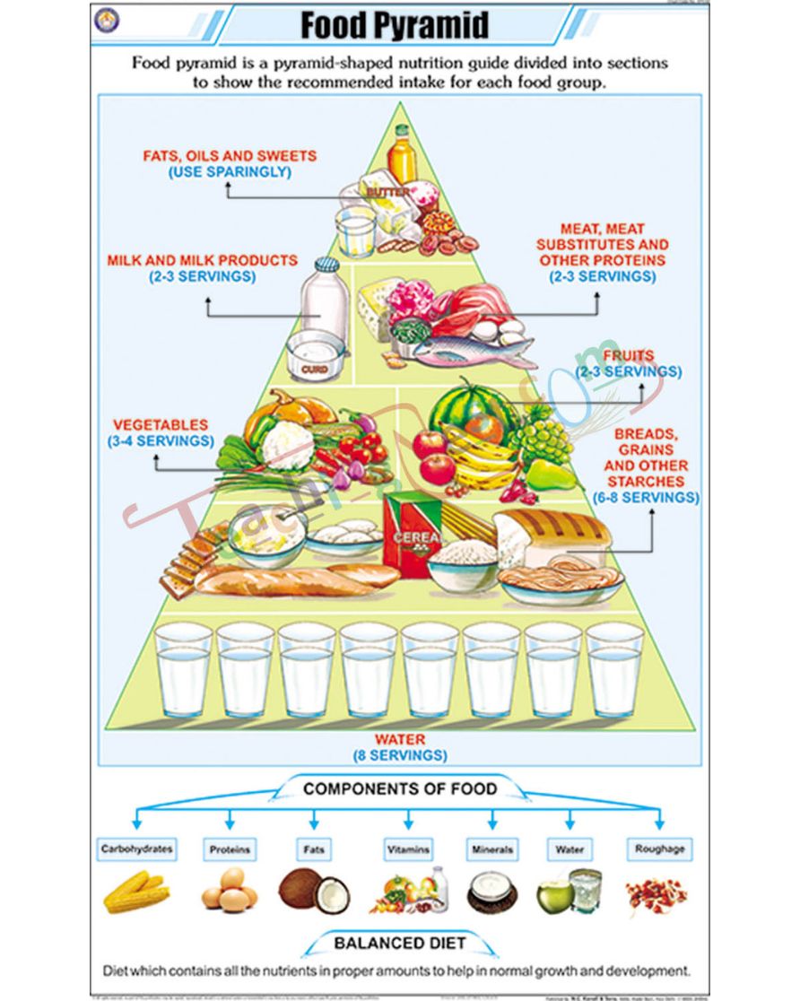 Food Pyramid Chart - Laminated, With Rollers