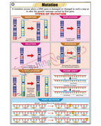 Mutation Chart - Laminated, With Rollers