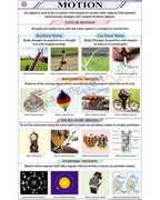 Motion Chart - Laminated, With Rollers