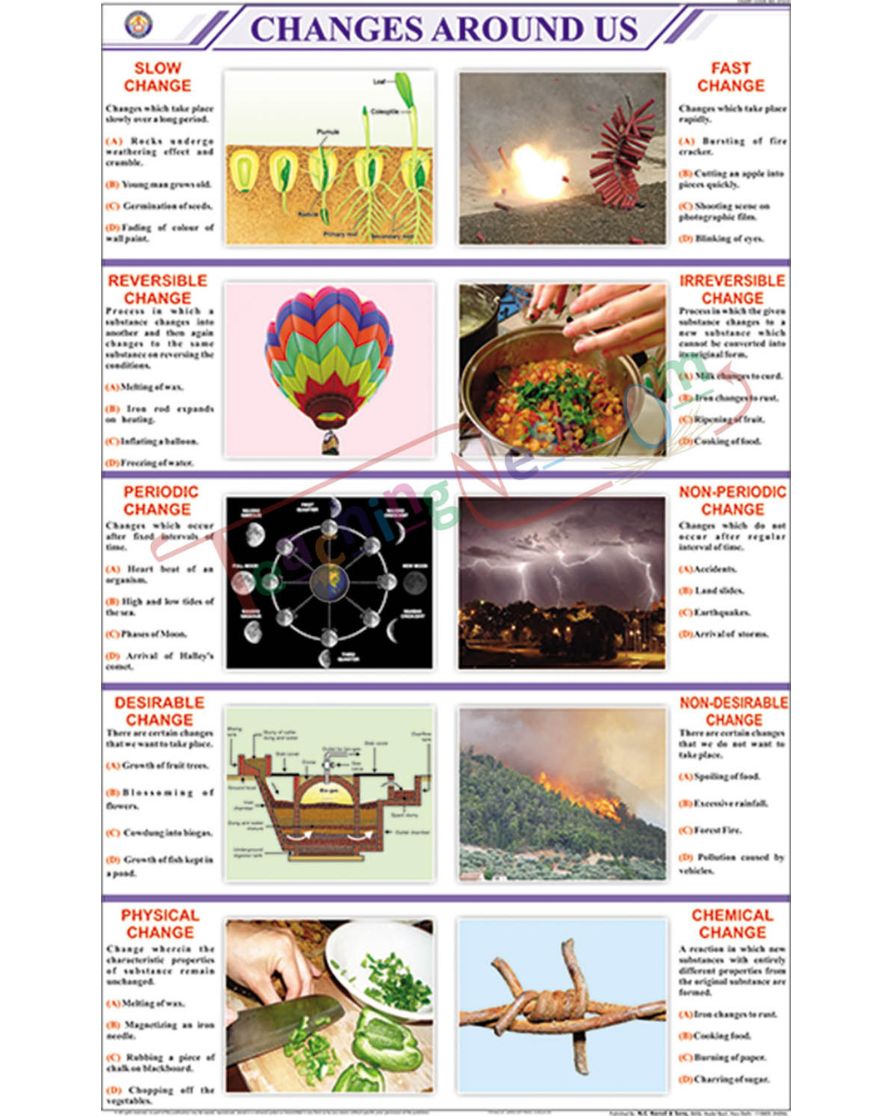 Changes Around Us Chart - Laminated, With Rollers