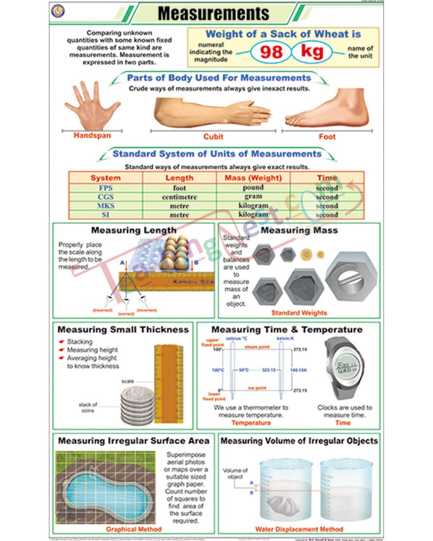 Measurements Chart - Laminated, With Rollers