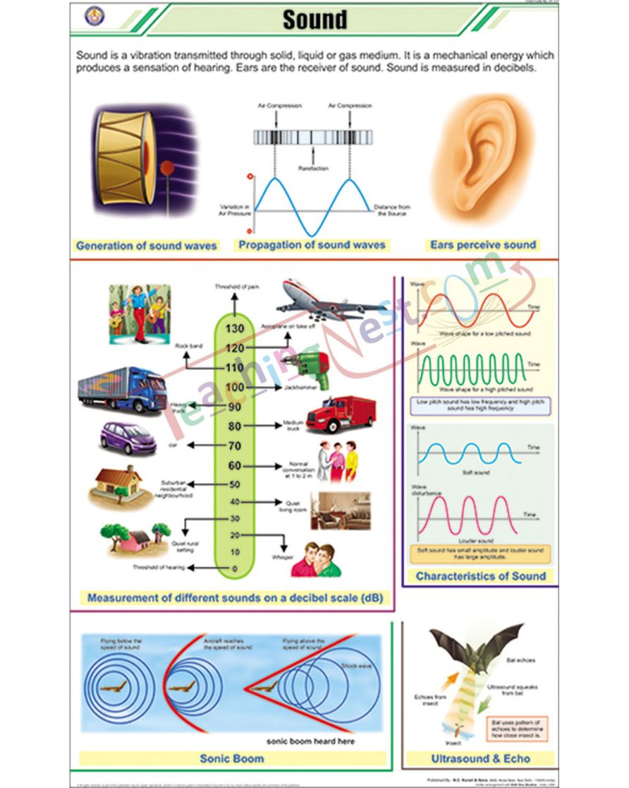 Sound Chart - Laminated, With Rollers