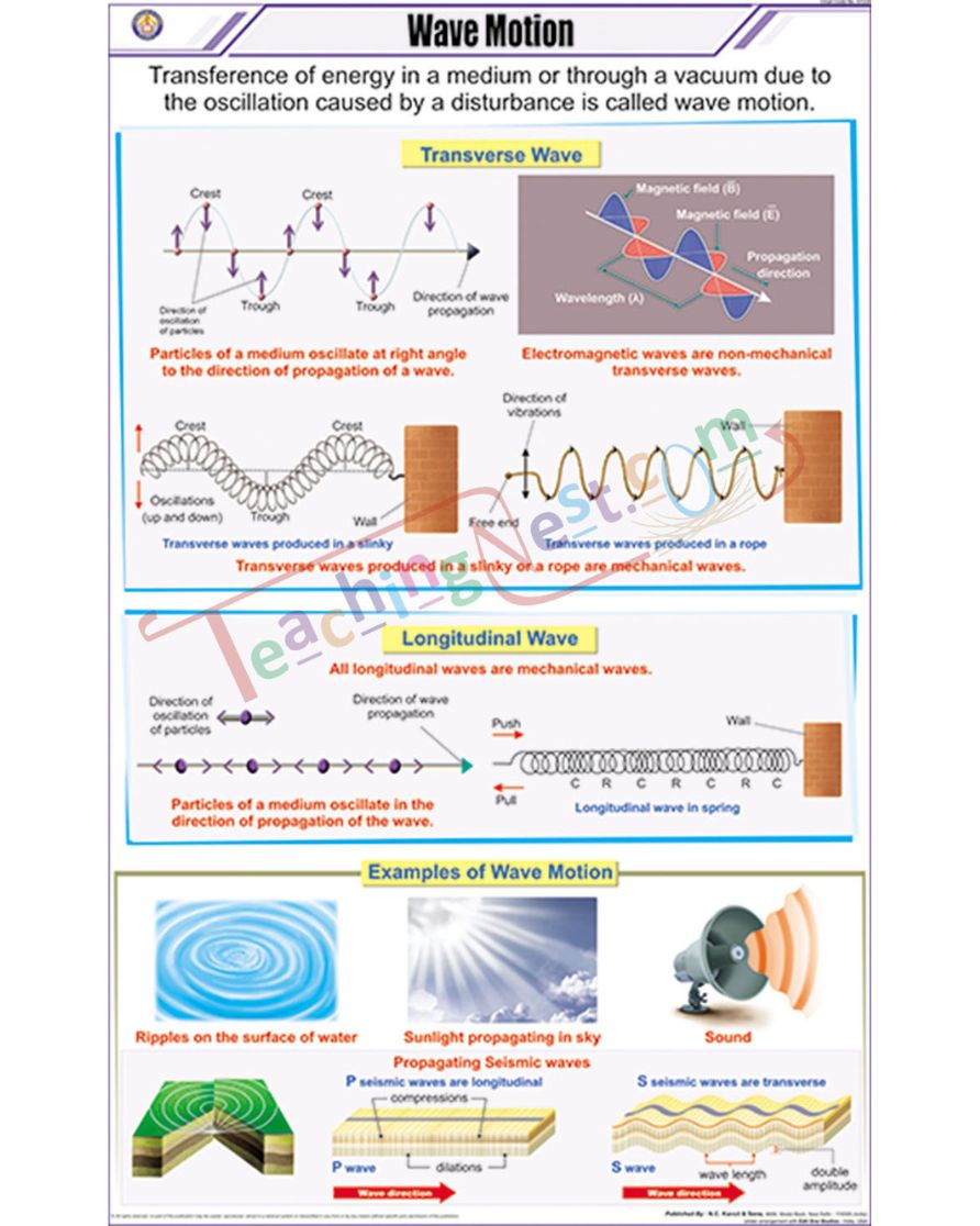 Wave Motion Chart - Laminated, With Rollers